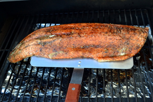 Salmon on the BBQ or Traeger Grill Smoker 
